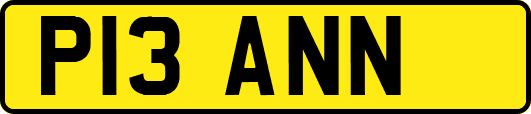 P13ANN