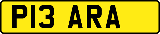 P13ARA