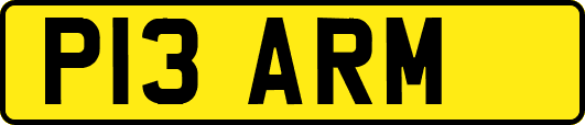 P13ARM
