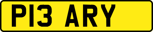 P13ARY