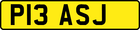 P13ASJ