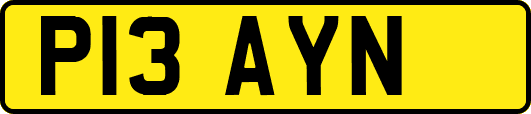 P13AYN