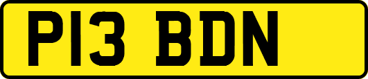 P13BDN