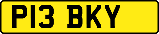P13BKY