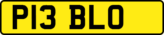 P13BLO