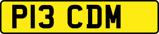 P13CDM