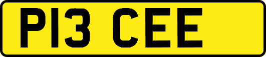 P13CEE