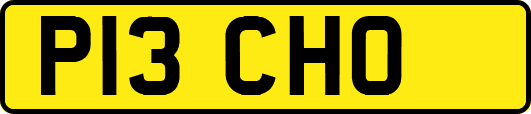 P13CHO