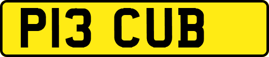 P13CUB