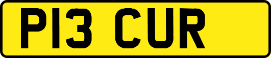 P13CUR