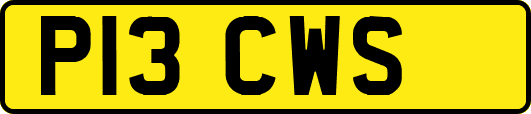 P13CWS