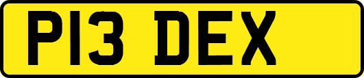 P13DEX