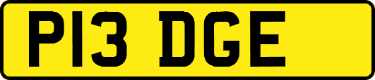 P13DGE