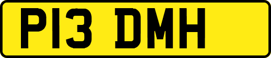 P13DMH