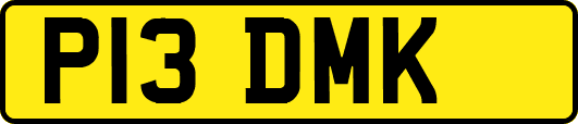 P13DMK