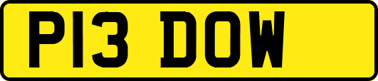 P13DOW