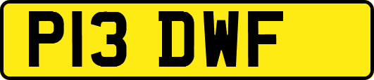 P13DWF