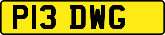 P13DWG