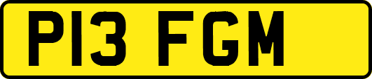 P13FGM