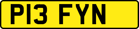 P13FYN