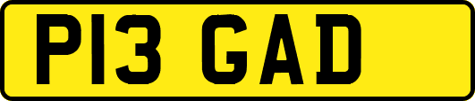 P13GAD