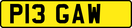 P13GAW