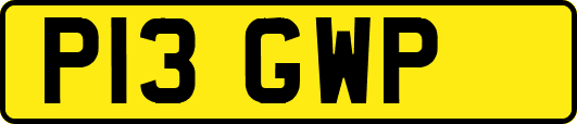 P13GWP