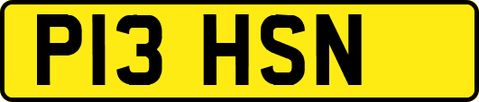 P13HSN