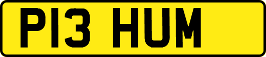 P13HUM