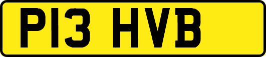 P13HVB