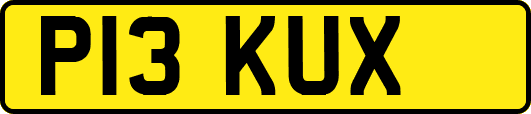 P13KUX