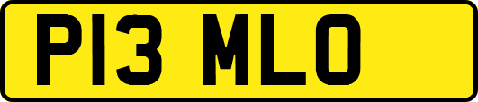 P13MLO