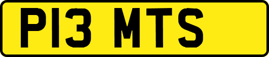 P13MTS