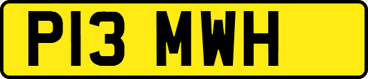 P13MWH