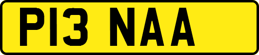 P13NAA