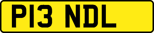 P13NDL
