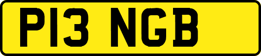 P13NGB
