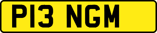 P13NGM