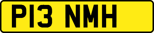 P13NMH