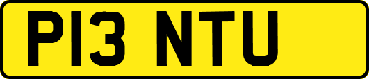 P13NTU