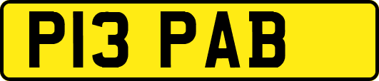 P13PAB