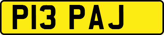 P13PAJ