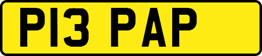 P13PAP