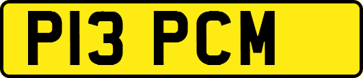 P13PCM