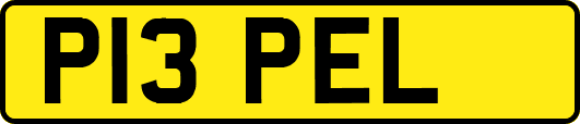 P13PEL