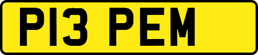 P13PEM