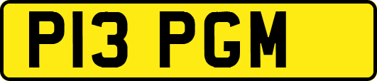 P13PGM