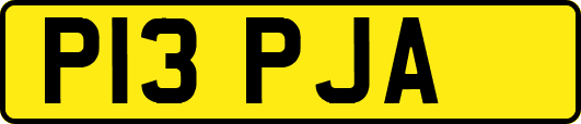 P13PJA