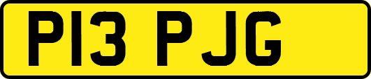 P13PJG