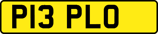 P13PLO